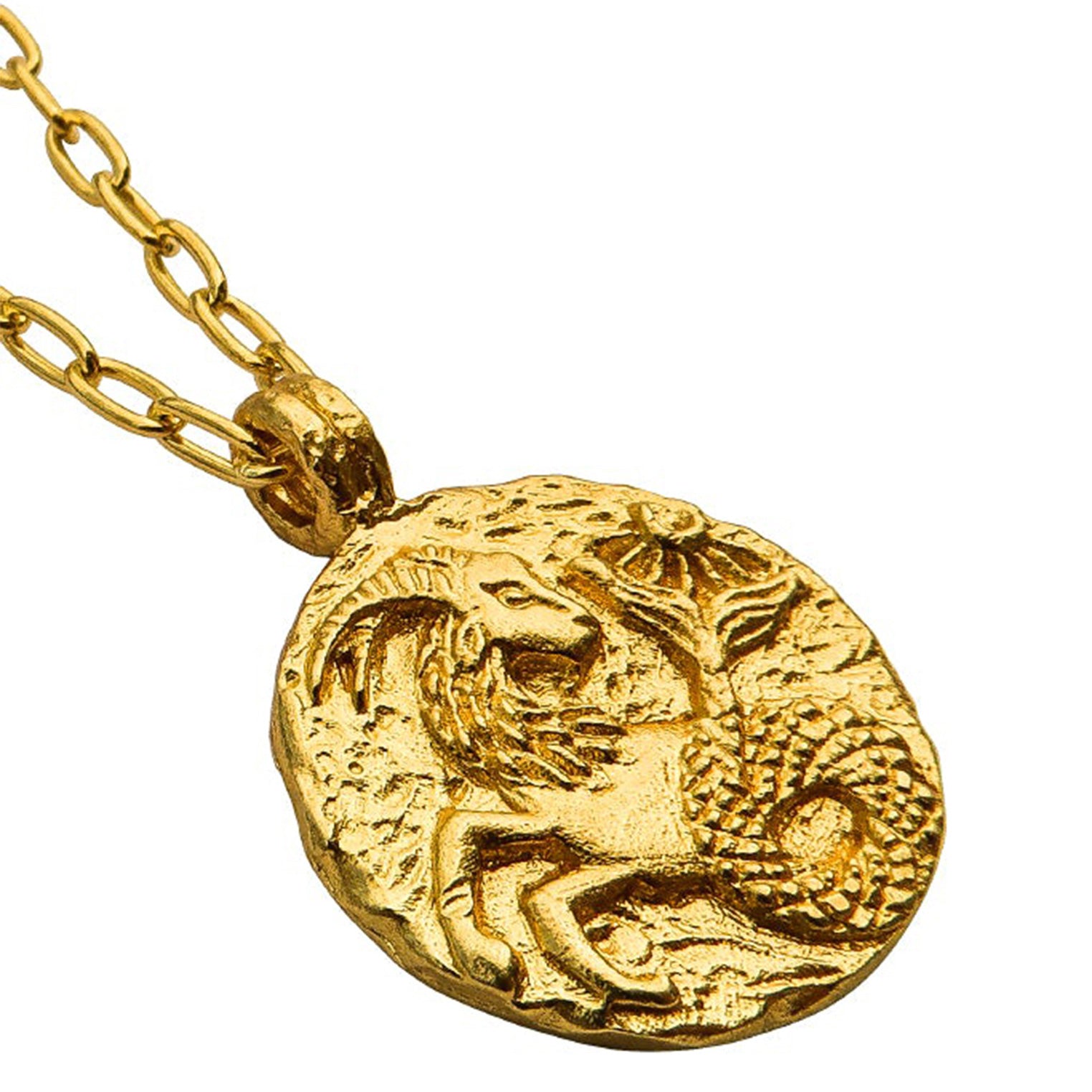 Gold Zodiac Necklace – and - Haze Capricorn Glory